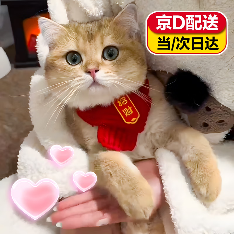 ���� è������Χ�����ﹷ��Χ��ϲ����Ʒ���κ�ɫ�����ˮ����С��Ȯ �����вơ� �ɵ��ڣ�5-20� 18.8Ԫ