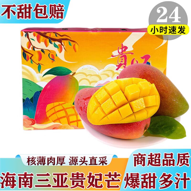 鲸咚亿农海南三亚贵妃芒果 新鲜水果芒果礼盒热带水果红金龙 带箱9.5-10斤大果【150-200克】净重9斤