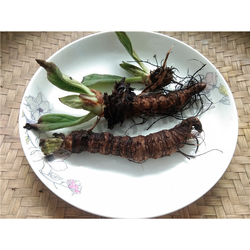吾家余堂贵州新鲜岩白菜纯根 中药材岩青菜猫耳朵石三七矮白菜石虎耳