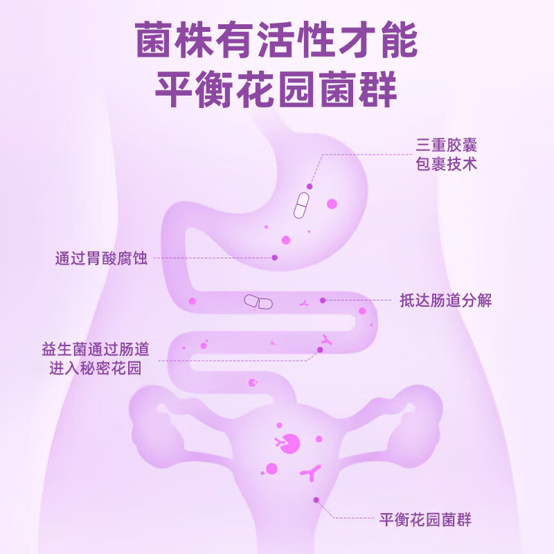 OptiBac欧贝客女性益生菌英国NHS医保平衡私处菌群改善白带BV瘙痒中老年 【守护女性健康】30粒*3盒