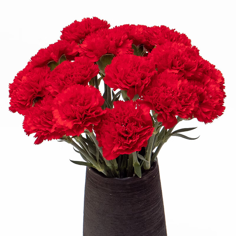 ����ܰ���л������ʻ�ֱ������ˮ���廨ĸ�׽����˽ڻ���14 �����ɫ����ܰ10֦