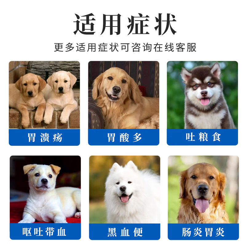 宠康源宠物用西咪替丁片猫咪犬狗止吐药呕吐黄水吐白沫肠胃炎症西米替丁 肠炎呕吐套餐