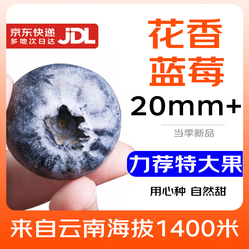 ʰݮJD/˳-شմɽݮˮ ѡ20mm+ 100-125g*4Сϻ㡿 49.9Ԫ