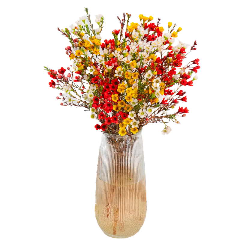 钟爱昆明基地直发鲜切花室内水养花束生活鲜花玫瑰康乃馨 随机20支康乃馨+随机颜色百合5朵