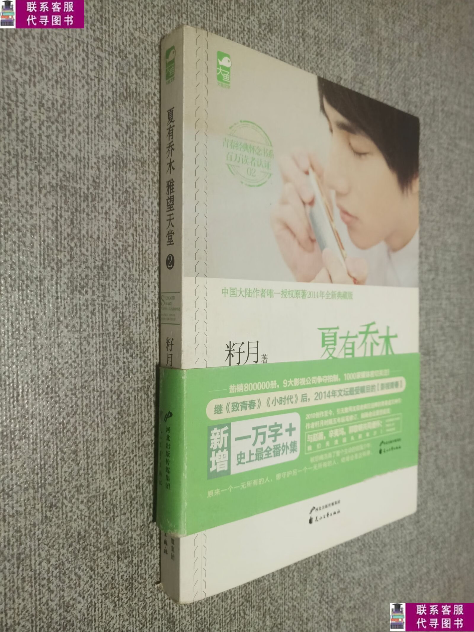 【二手9成新】夏有乔木:雅望天堂2. /籽月 花山文艺出版社