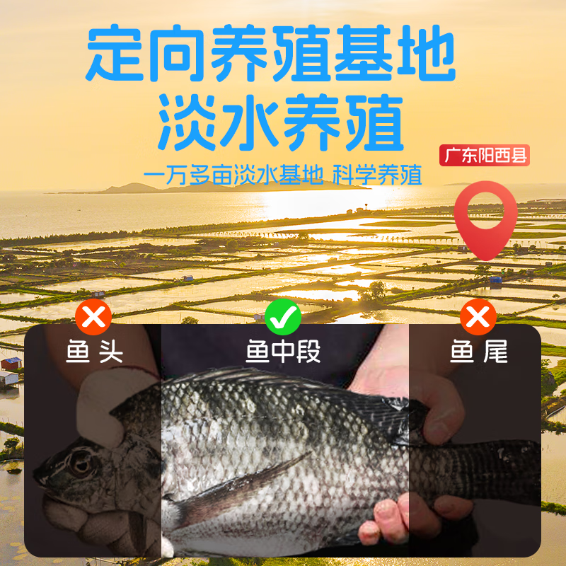 叮叮懒人菜0添加DHA鱼排100g儿童早餐营养高蛋白半成品量贩装 预制菜年货 黑椒鱼排100g*5+蒜香鱼排100g*5