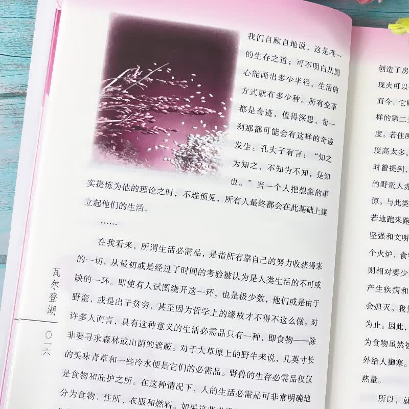 图 6