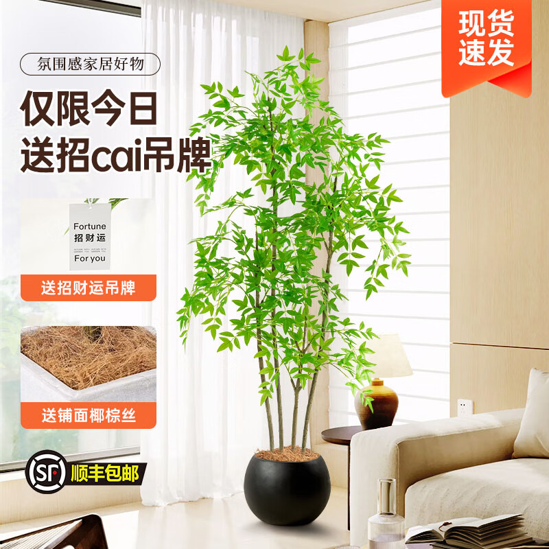 子琪逸仿真绿植南天竹落地盆栽室内大型仿生植物摆件高端轻奢装饰假树花 定制款 需要联系客服 私拍发 1米南天竹单杆【原盆