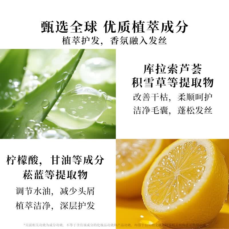 柏丽兹山茶与乌木植物香氛洗发水木质香氨基酸控油蓬松护发留香洗发露 洗发水350ml*2【告别油屑扁塌】送护手霜