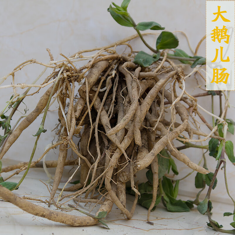 贵州大鹅儿肠野生中药材晒干通经草黑牵牛寸金草老鹳精大繁缕根 新鲜