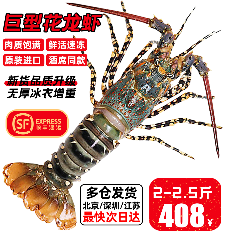 嘗鮮生 大龍蝦鮮活冷凍澳龍小青龍超大澳洲花龍大蝦年貨送禮海鮮禮盒 錦繡花龍（凈重）2-2.5斤/只