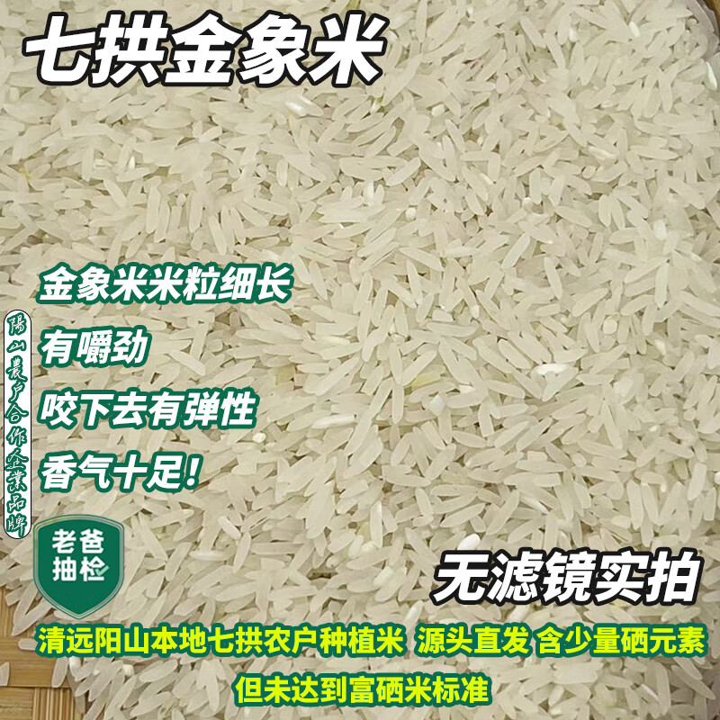 粤 粤来月香粤莨宝阳山本地自产七拱一级香粘米阳山特产香软农家大米5斤/10斤 10斤阳山七拱金香米【金象米】