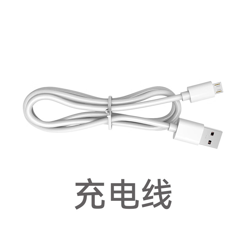 伊酷尔（IFKOO）手持小风扇Q萌卡皮巴拉动物园带挂绳底座便携式小电扇小型迷你usb充电静音办公室桌面学生宿舍 白色