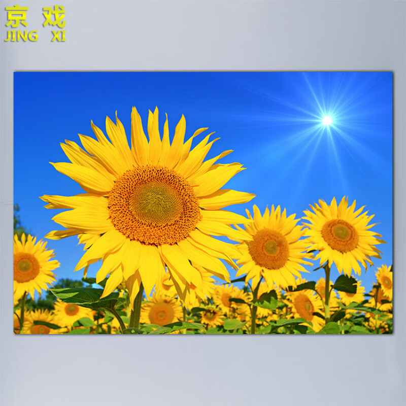 向日葵裝飾畫向陽花掛畫圖風(fēng)景畫太陽花客廳背景墻自粘墻貼紙壁畫 背膠(背面帶膠，撕掉可貼) 42×30厘米 如需其它尺寸可詢 向