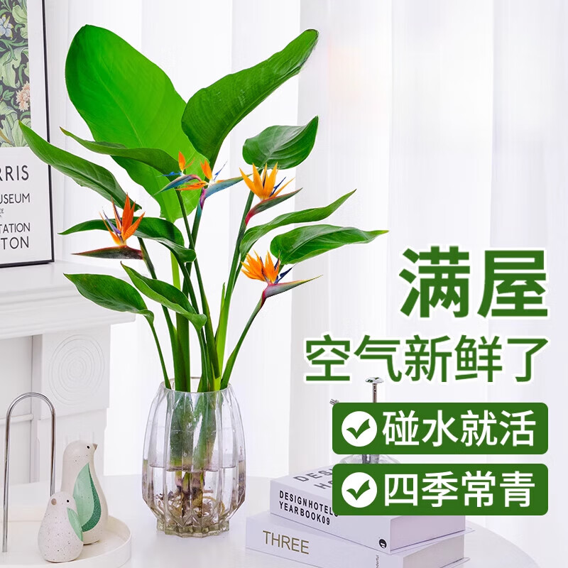 ���ڲ������ֻ���ˮ�����������Ի���ֲ�����ڿ�����ֲ�����������ȩ�ļ������� ��Ʒˮ��������30-40����2�á�����ƿ�� 10Ԫ