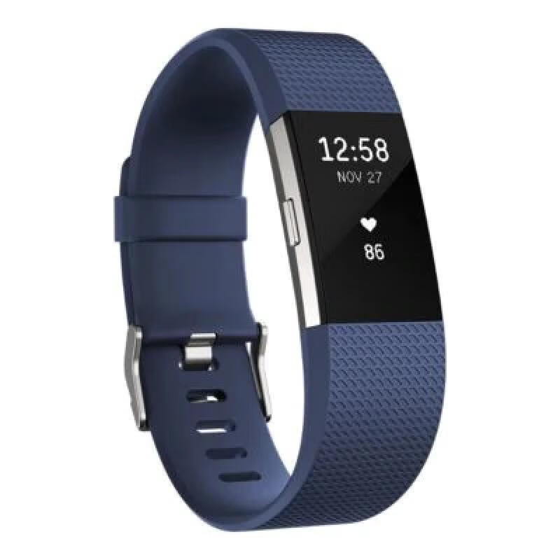 Fitbit户外仪表智能监测运动手环多模式训练睡眠分析GPS连接可换表带 默认 N/S
