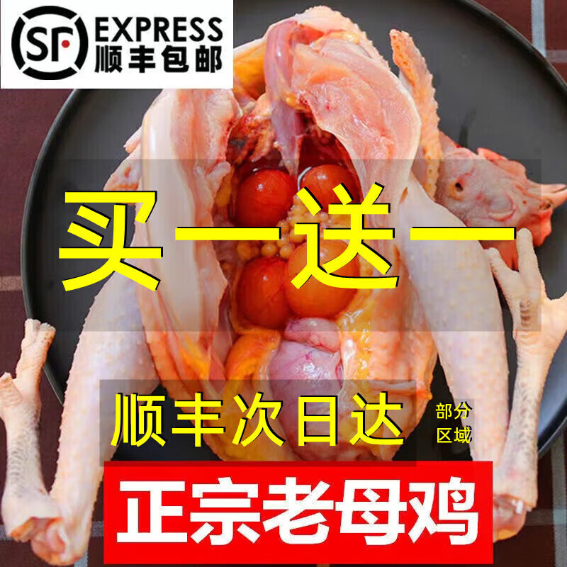 2只3年正宗老母鸡现杀新鲜土鸡农家散养柴鸡走地鸡草鸡笨鸡整只 1000g*2只=4斤 老母鸡2只