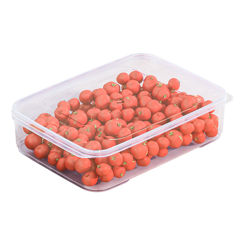 禧天龍冰箱保鮮盒食品級(jí)冰箱收納盒密封盒蔬菜水果冷凍盒 4.5L