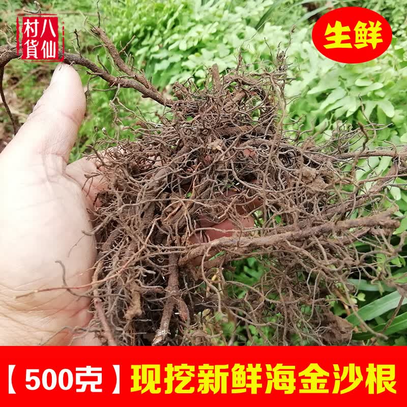 宜安堂现挖海金沙根 新鲜金沙藤根 罗网藤根 虾蟆藤 500克 生鲜根500g