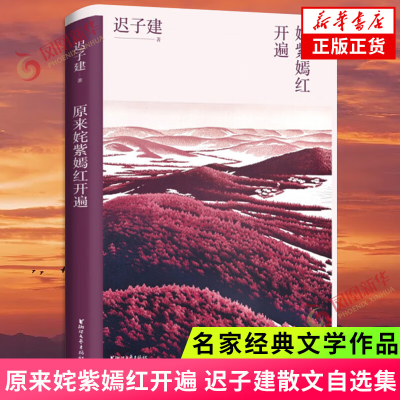 也是冬天也是春天 额尔古纳河右岸 迟子建散文小说作品集自选 茅盾文学奖得主作品 凤凰新华书店旗舰店正版书籍 原来姹紫嫣红开遍【定价45】