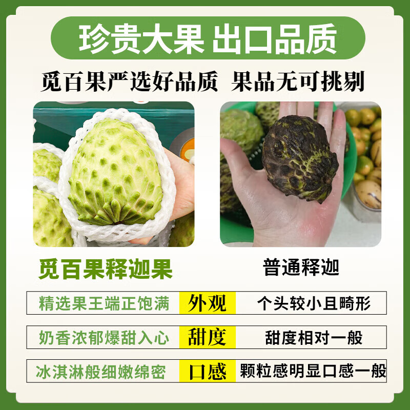 觅百果【顺丰】海南牛奶凤梨释迦果当季新鲜热带水果超甜番荔枝佛头果 净重5斤大果【约7-9个果】