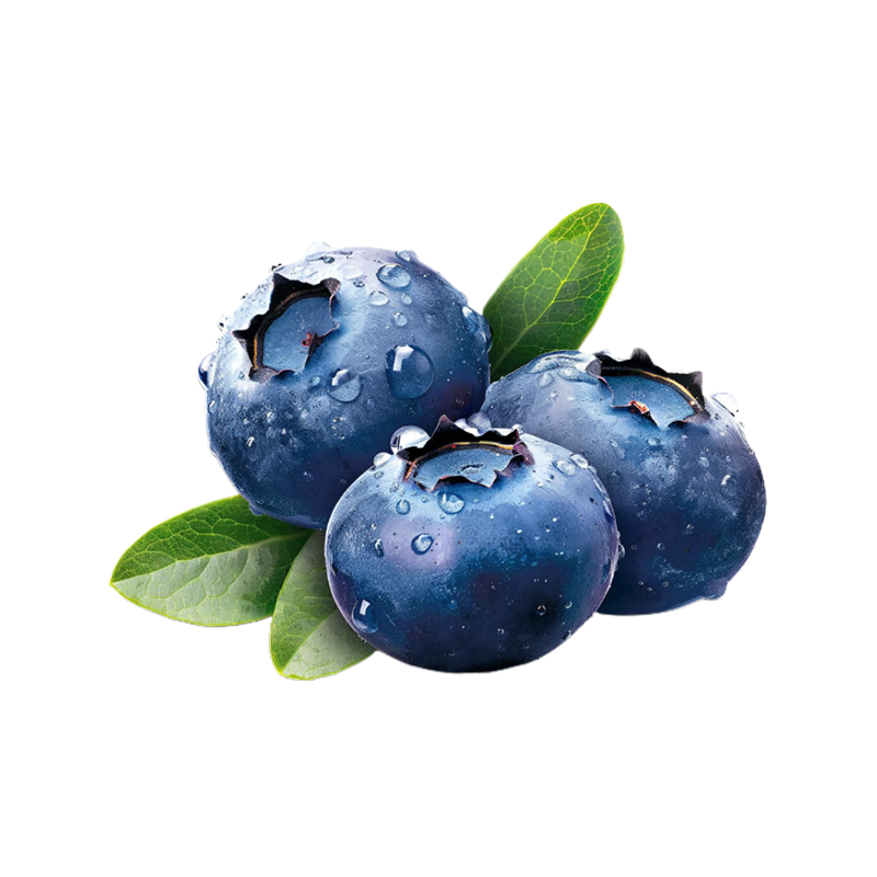 ������ ������ݮ 18mm+ 125g/�� 6��װ ����ˮ�� Դͷֱ�� ���� 69.8Ԫ