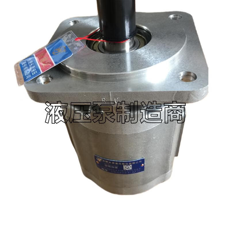 CBG-2080-BFP齒輪油泵20322040205020632100液壓油泵CBGZ CBG2032-BFPL