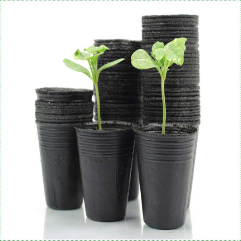 娴雅营养钵批发 营养钵 加厚营养袋 营养杯 育苗盆 育苗杯 穴盆 穴盘