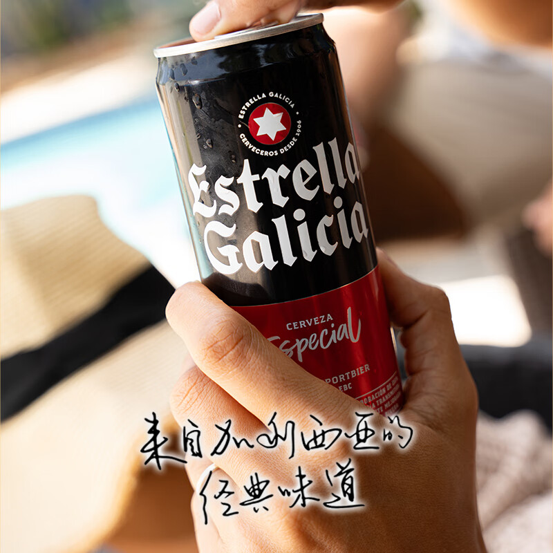 Easycheers西班牙原瓶原装进口经典畅饮系列瓶装精酿啤酒 330mL 24罐 整箱装 （性价比之选）