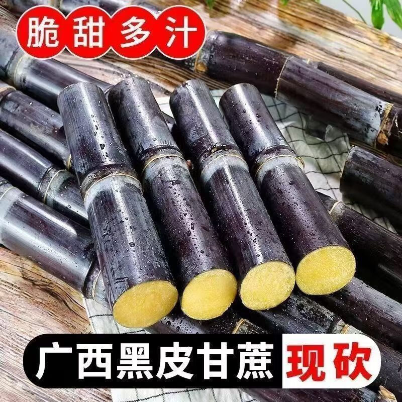 格沃斯【现砍现发】正宗广西黑皮甘蔗新鲜/中段脆甜当季水果甜甘蔗甜杆 广西产地直发+脆甜多汁 带箱9-10斤【精选中段】