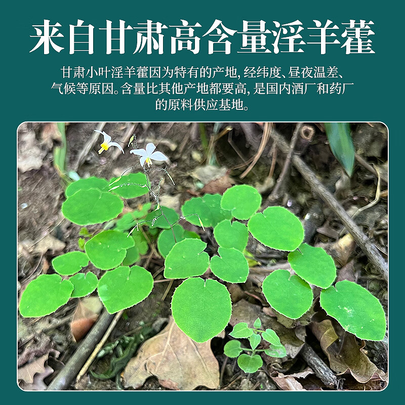 唯昱记 甘肃野生小圆叶淫羊藿 精选仙灵脾搭配山茱萸五味子泡水泡茶泡酒 阿拉善肉苁蓉鲜干片【锁鲜盒装】 190g*1盒