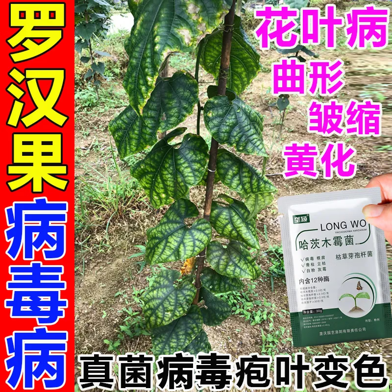 垄颖罗汉果病害清罗汉果专用抑菌剂花叶病炭疽病白绢病红尾微生物肥料