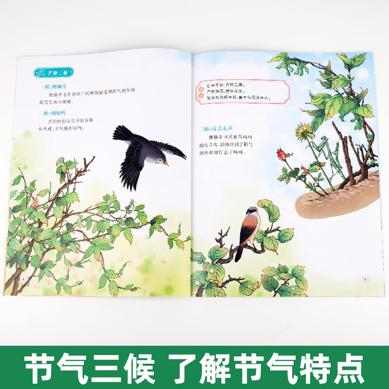 二十四节气绘本全6册小学生课外阅读24节气科普知识百科大全 【全套6本】二十四节气绘本