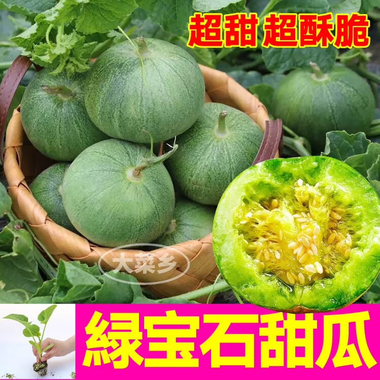 大菜乡寿光绿宝石甜瓜苗秧带土羊角蜜博洋九甜瓜种子四季庭院高产蔬菜苗 绿宝石甜瓜苗6颗+1包肥