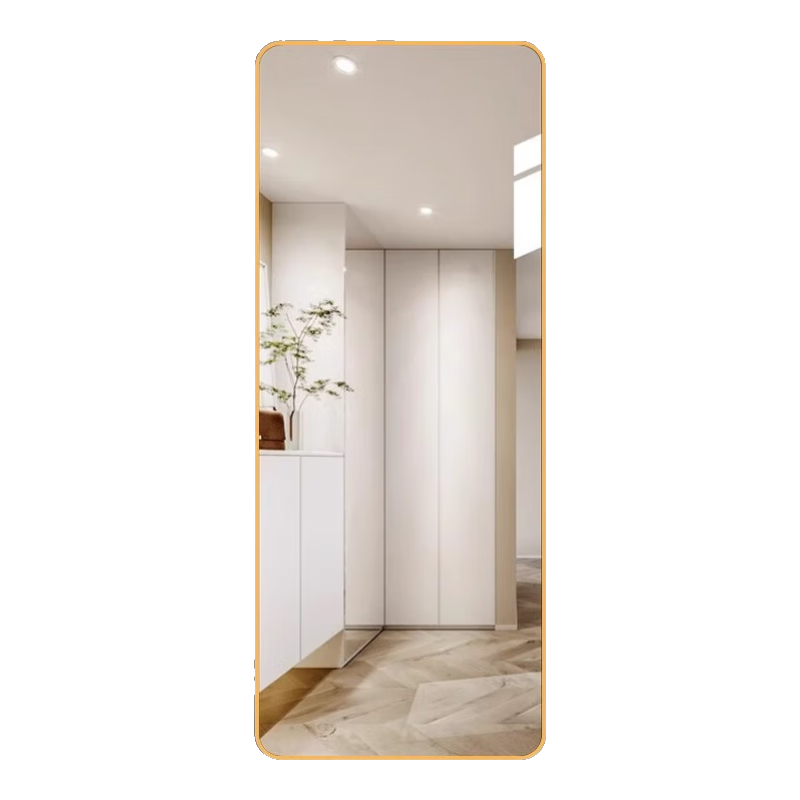 含雅帶框鏡子貼墻自粘穿衣鏡家用臥室掛墻全身鏡免打孔壁掛落地試衣鏡 高清鏡面 破損包賠-50*160輕奢金