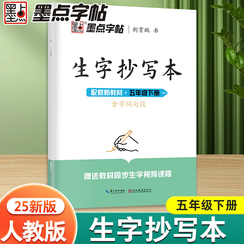 墨点字帖 生字抄写本 人教版语文五年级下册同步练字帖小学生练字专用笔画笔顺描红荆霄鹏硬笔书法楷书字帖