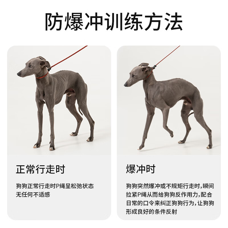 HIDREAM皮革手柄牵引绳大型犬防爆冲加粗攀岩级P链赛级训练宠物遛狗绳 赛级加粗绳松石绿[180cm] 40kg内通用