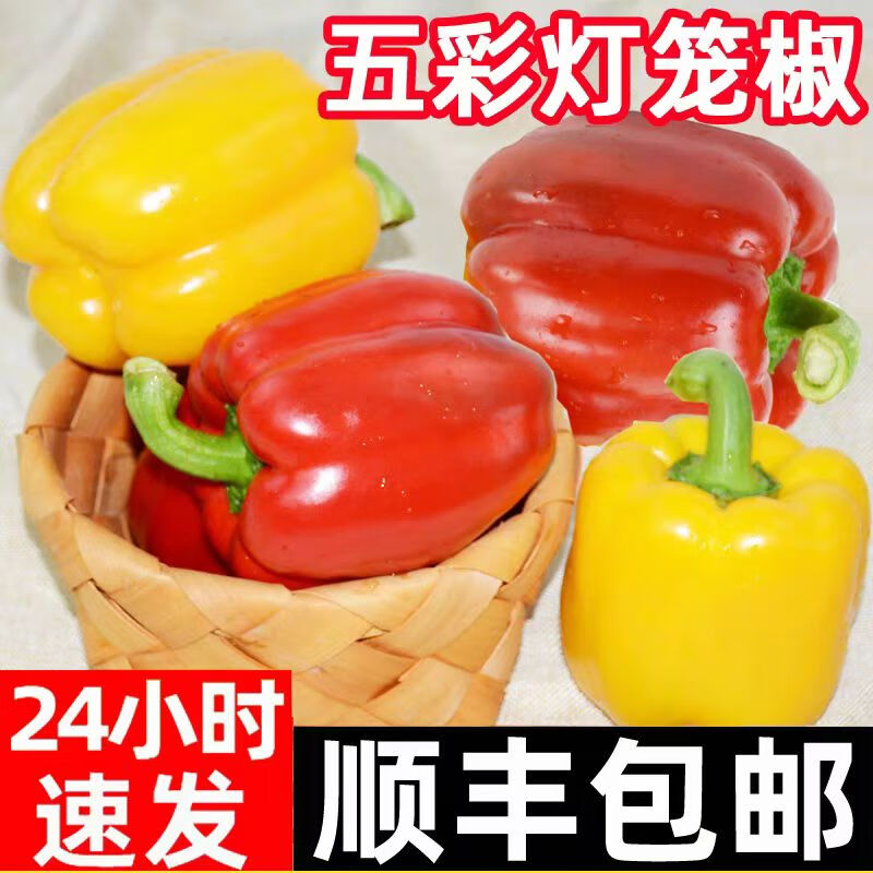 农大姐妹【顺丰】彩椒 甜椒 新鲜蔬菜五彩椒 寿光蔬菜水果椒 灯笼椒沙拉 红+黄椒4斤顺丰上门