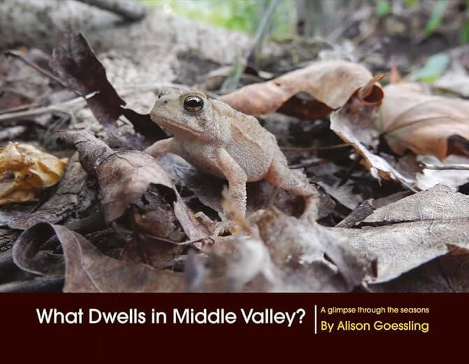 what dwells in middle valley?: volume 1