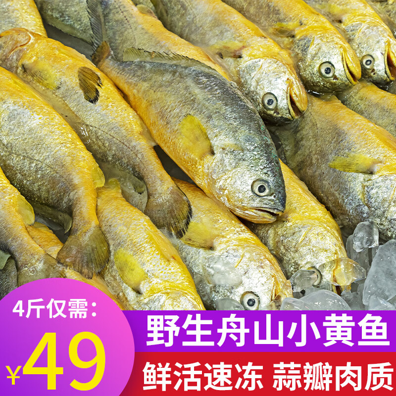 ��ָ������ɽҰ��С���� Լ12-13��/�� �����䶳�ƻ��� ��ɽС���� 2��