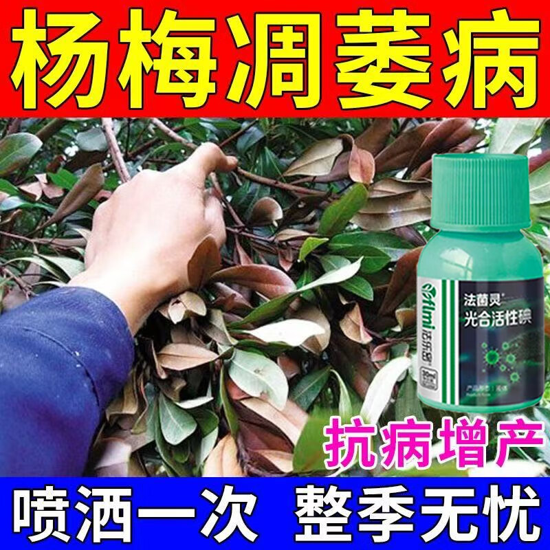 嵩晴杨梅凋萎枯萎病专用肥杨梅病全治黄叶斑点萎蔫枯枝落叶生物肥菌剂