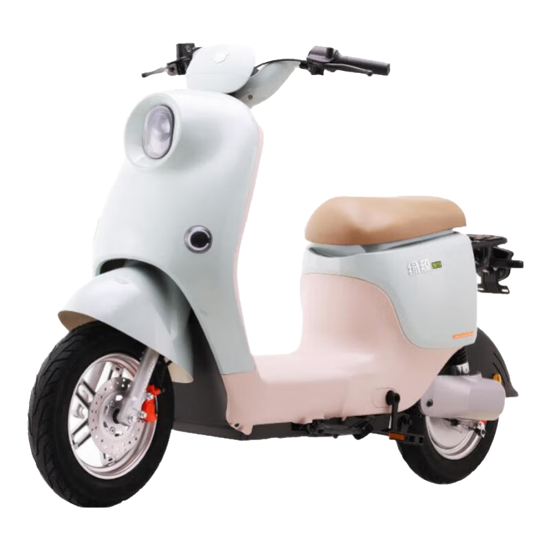 ��Դ ZOE 48V30Ah﮵��¹���綯���г������� ���ŵ�ѡ��ɫ��������գ�