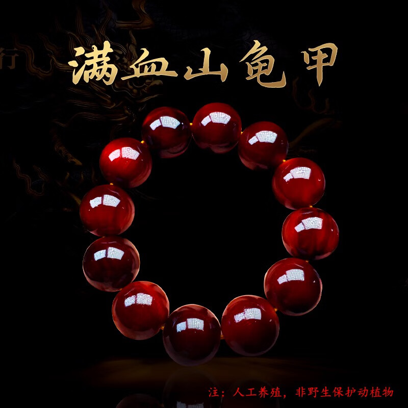 文玩手串盘玩收藏佳品男女养生中式手链