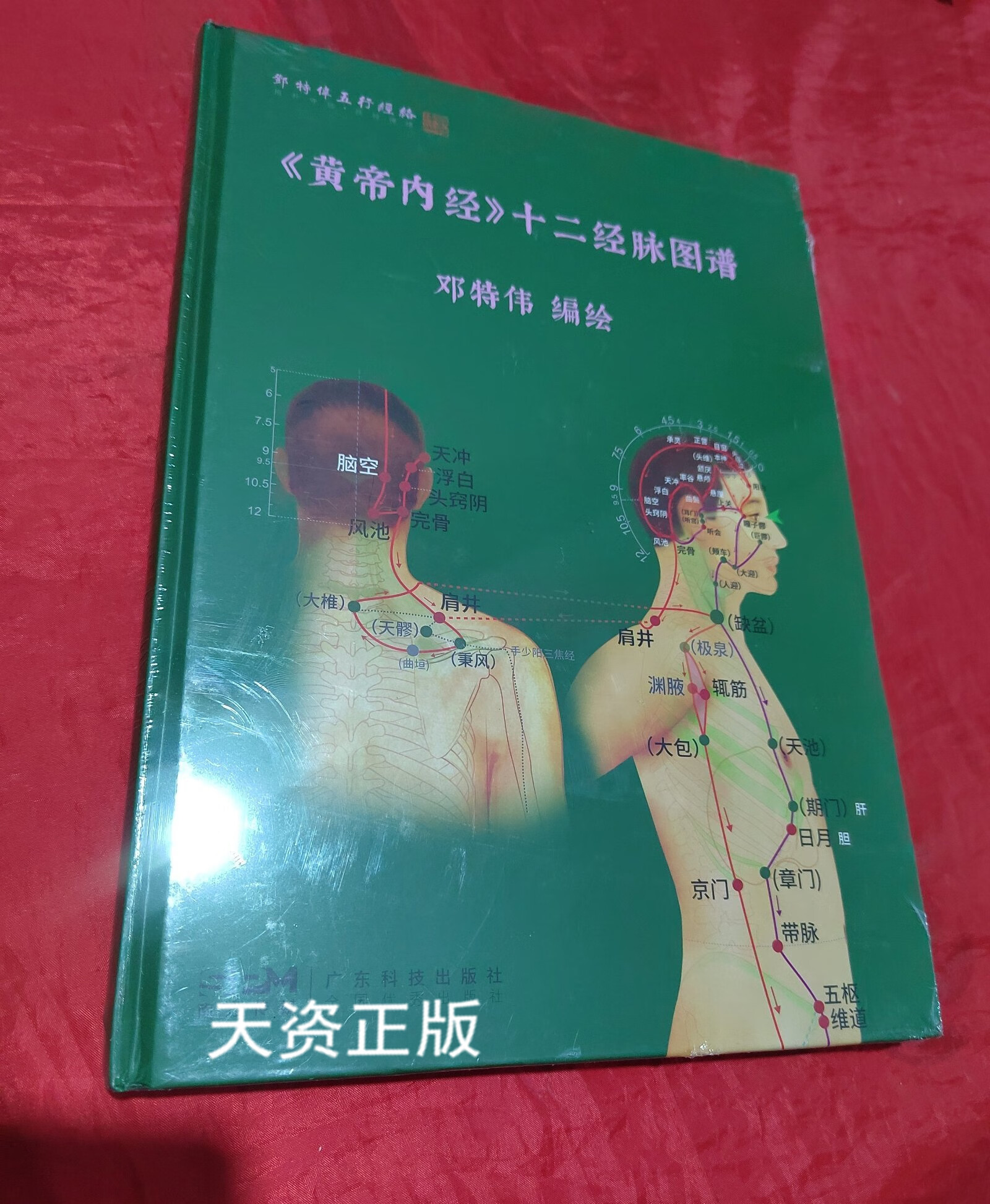 《黄帝内经》十二经脉图谱 邓特伟编绘 广东科技出版社二手书