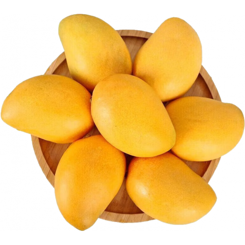 ڲ С̨ũâС̨âȴˮС̨â 8.550g+ 19.99Ԫ