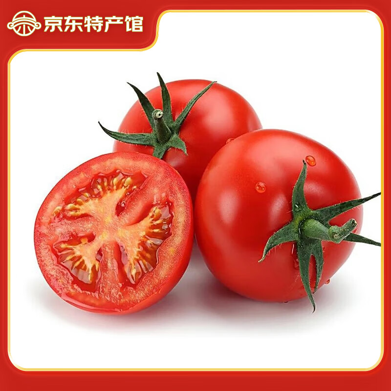 静益乐源西红柿 四川露天攀枝花米易沙瓤西红柿 新鲜蔬菜 5斤 装单果50g+ 22.9元