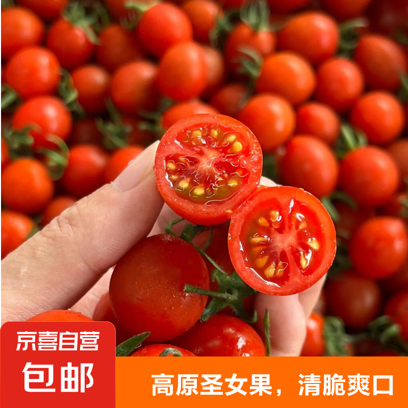 云南圣女果小西红柿酸甜新鲜孕妇水果蔬菜整箱批发非千禧 圣女果中小果 1斤