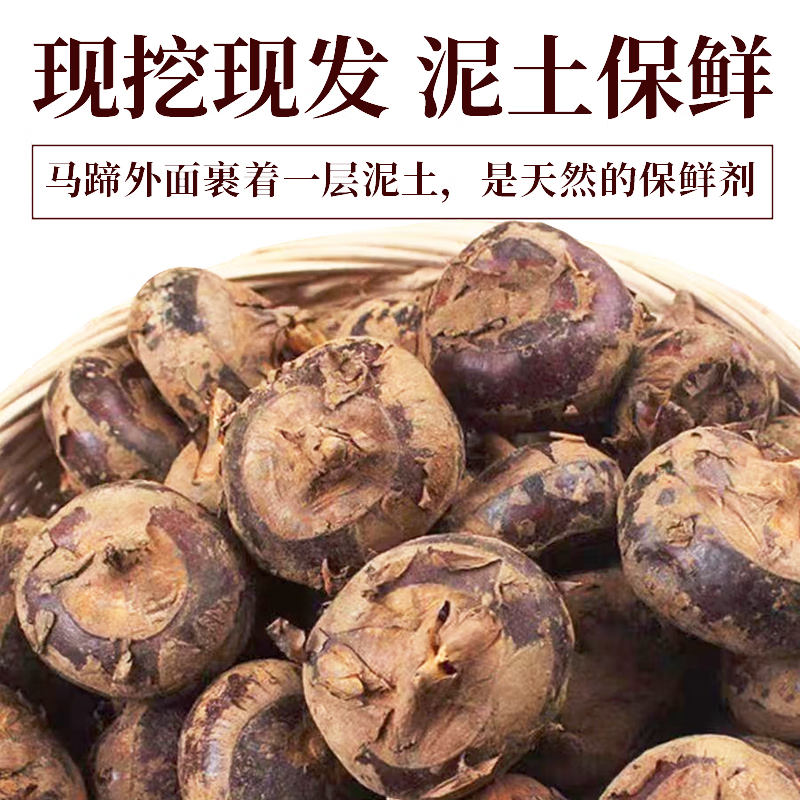 荔浦马蹄广西荸荠地梨脆甜多汁现挖带泥保鲜当季水果蔬菜 优质大果 净重5斤(100-115）