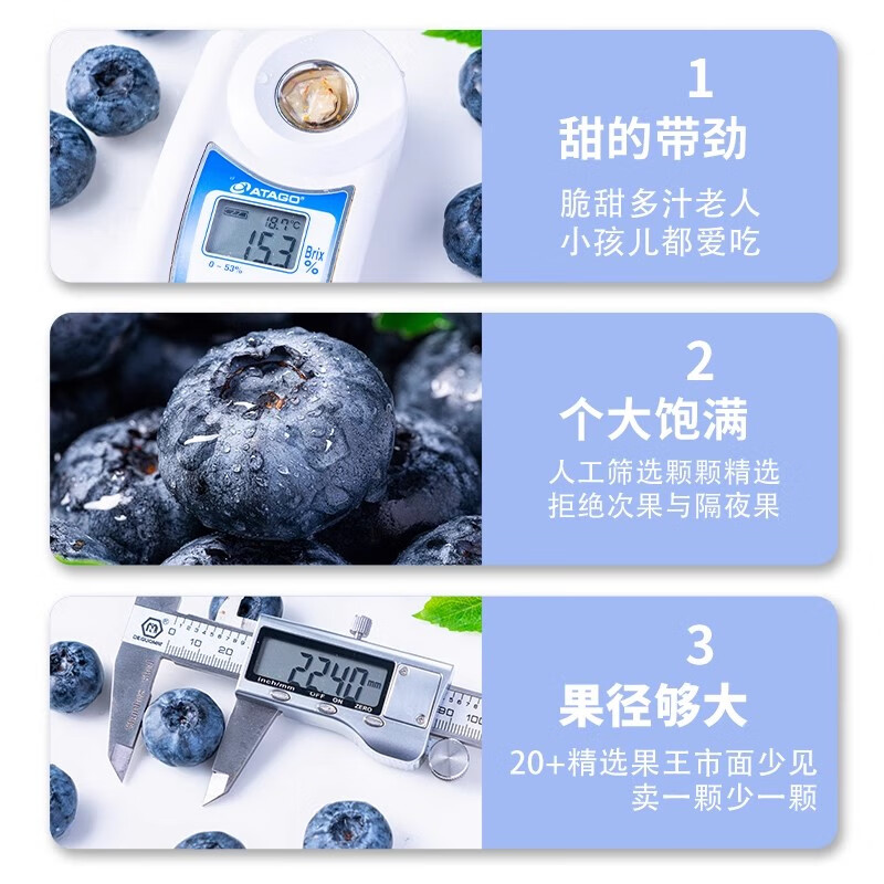 悠轶云南蓝莓水果新鲜【多地次日达】L25花香蓝莓国产孕妇水果 4盒装【100g/盒】单果15mm+