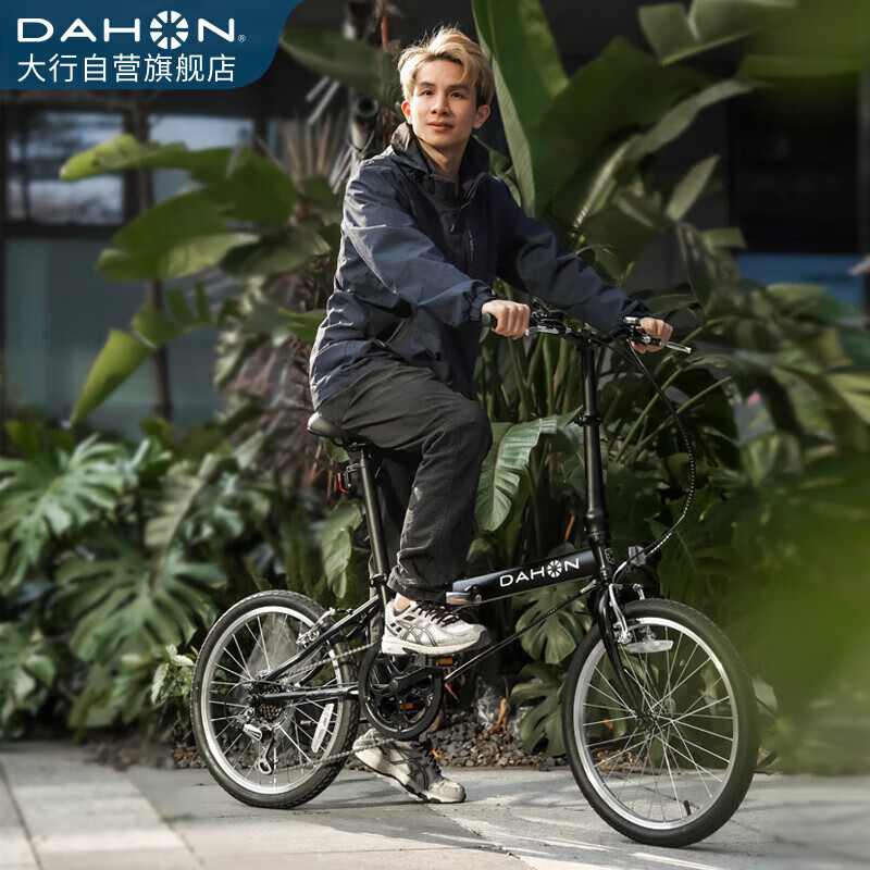 大行（DAHON）经典D6折叠自行车20英寸6速成人休闲单车 KBC061 消光黑